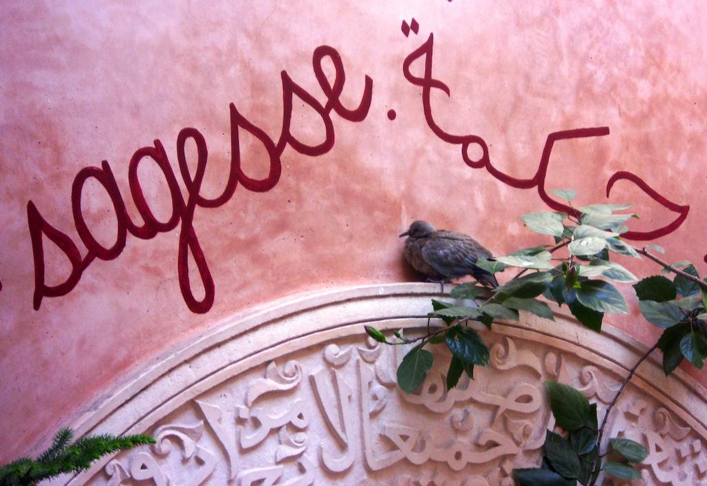 Hôtel Dar Malaïka à Marrakesh Extérieur photo